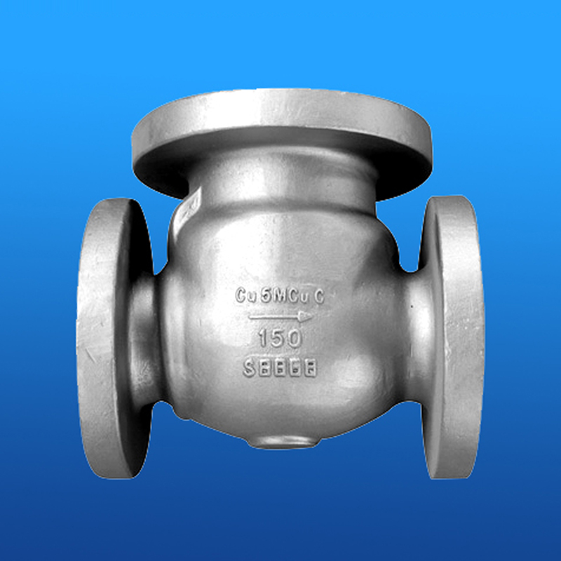 ANSI Check Valve